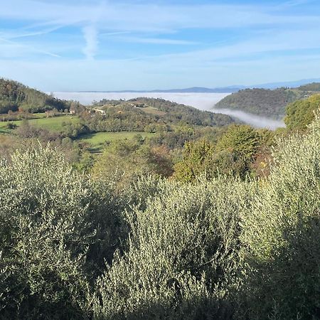 Agriturismo Ai Gradoni Teolo Exterior foto